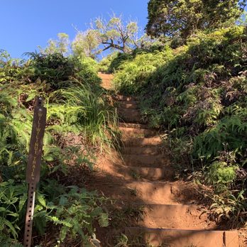 Wiliwilinui Ridge Trail - Hiking Near Me Wiliwilinui Ridge Trail - Hiking Near Me