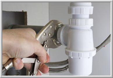 Slide of Speedy Rooter