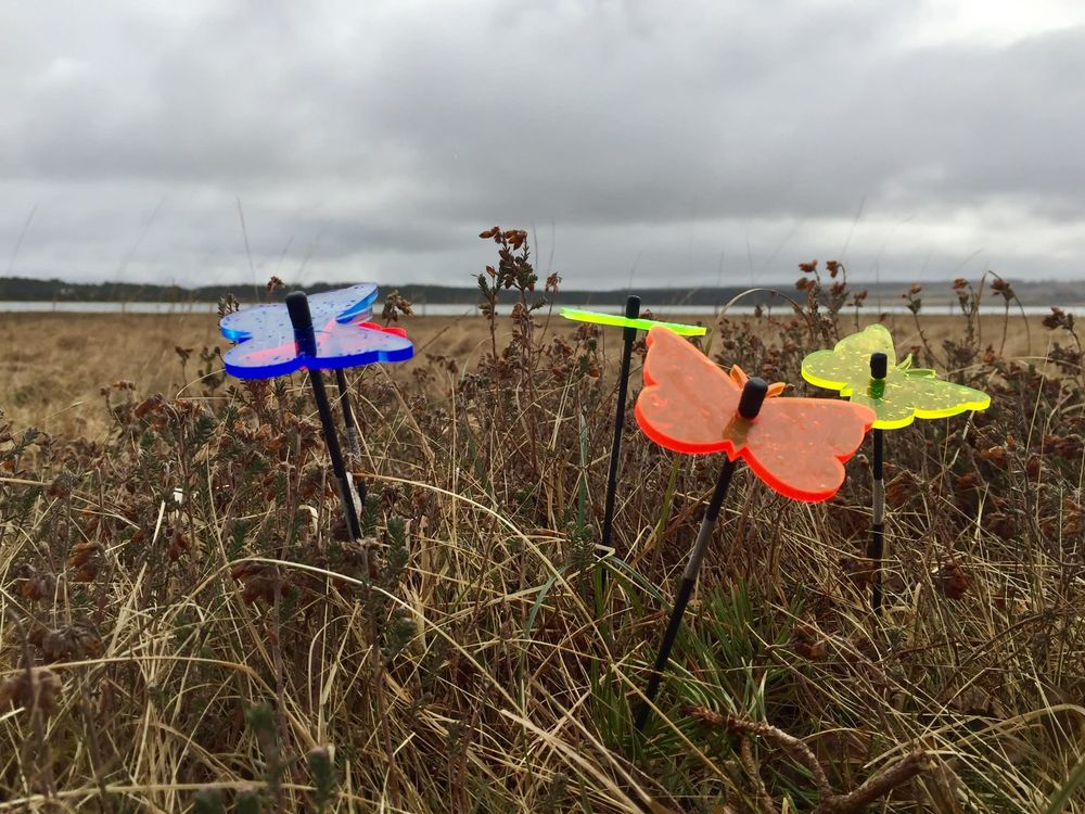 SUNCATCHER LTD Updated August 2024 29 Photos Glasgow, East