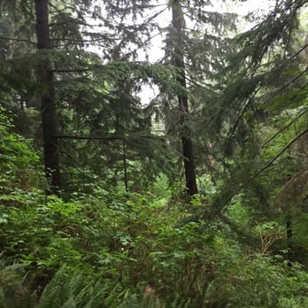 Rattlesnake Mountain - Hiking Near Me Rattlesnake Mountain - Hiking Near Me