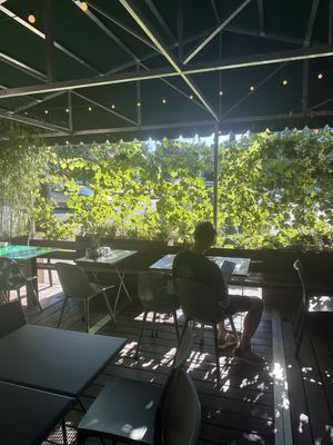 Comet Ping Pong by null