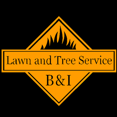 B & I Lawn Service
