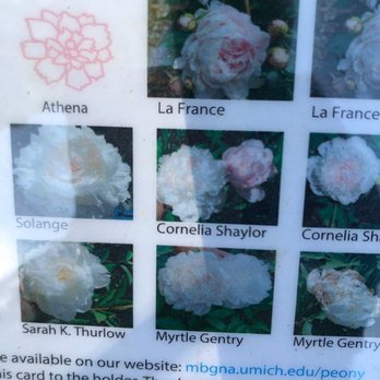 Nichols Arboretum - Loved the map available at each section - Parks Near Me - Ann Arbor, Michigan Nichols Arboretum - Loved the map available at each section - Parks Near Me - Ann Arbor, Michigan