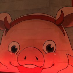 Red Pig