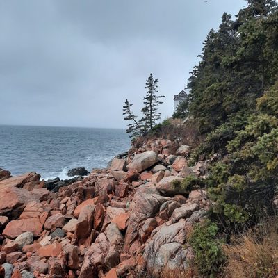 Bass Harbor Head Light Station by null