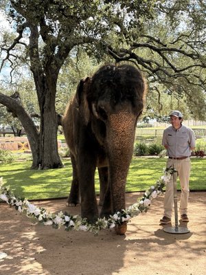 The Preserve by null