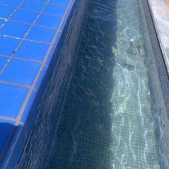 Grand Sierra Resort - Algae - Hotels Near Me - Reno, Nevada Grand Sierra Resort - Algae - Hotels Near Me - Reno, Nevada