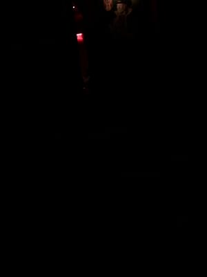 The Secret Bar by null