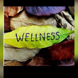 Trio Wellness Studio