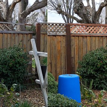 Maya’s Fences - Fence fix after a tree branch fell over the fence due to the storm - Fences & Gates Near Me