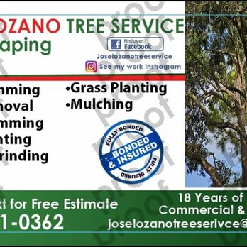 Jose Lozano Tree Services - Tree Services Near Me - Houston, Texas Jose Lozano Tree Services - Tree Services Near Me - Houston, Texas