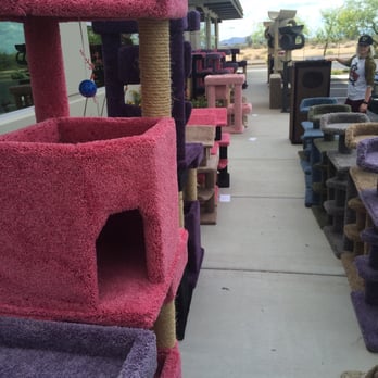 CatsAreInn - Sale today!  20% off! - Pet Stores Near Me - Phoenix, Arizona