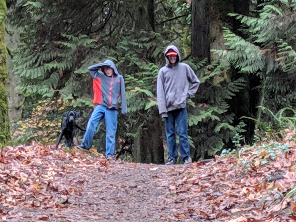 DEVOTIONS DOGS Updated June 2024 10 Photos Ridgefield, Washington