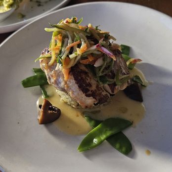 Shore - Grouper - New American Near Me - Longboat Key, Florida