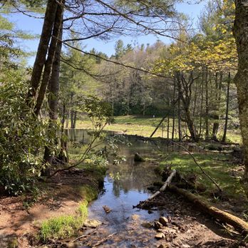 Bass Lake - Lakes Near Me - Blowing Rock, North Carolina