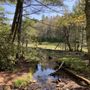 Photo of Bass Lake