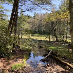 Bass Lake