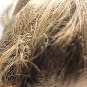 Pure Joy Salon & Spa - Due still in nape of neck after leaving salon. - Hair Salons Near Me - St Louis, Missouri Pure Joy Salon & Spa - Due still in nape of neck after leaving salon. - Hair Salons Near Me - St Louis, Missouri