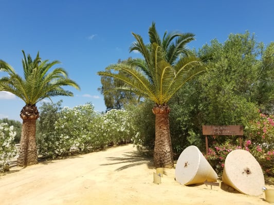 Hacienda de San Rafael by null