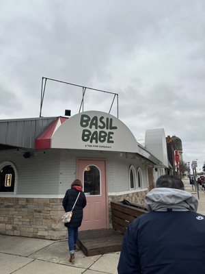 Basil Babe by null