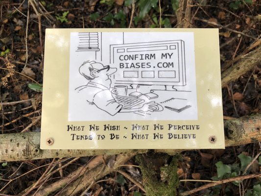 The Ewe Experience by null