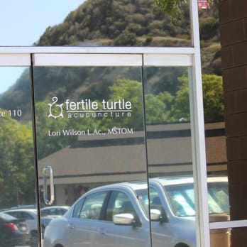 Fertile Turtle Acupuncture - Welcome! - Acupuncture Near Me - San Diego, California Fertile Turtle Acupuncture - Welcome! - Acupuncture Near Me - San Diego, California