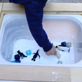SquareCare White Peacock - Sensory activity - Child Care & Day Care Near Me - Hayward, California SquareCare White Peacock - Sensory activity - Child Care & Day Care Near Me - Hayward, California