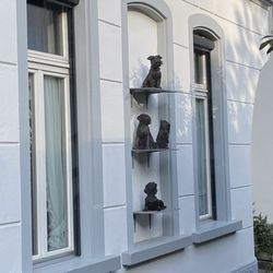 Carlton Europe Hotel - Pet-friendly hotel