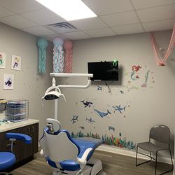 Palm Tree Dentistry - New Port Richey