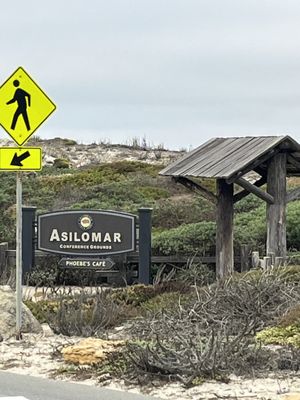 Asilomar State Beach by null