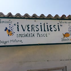 I Versiliesi
