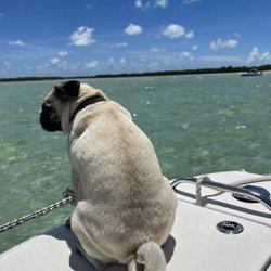 Salty Bonez Adventures - Best co-captain ever!