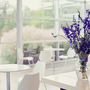 Photo of Café Omi