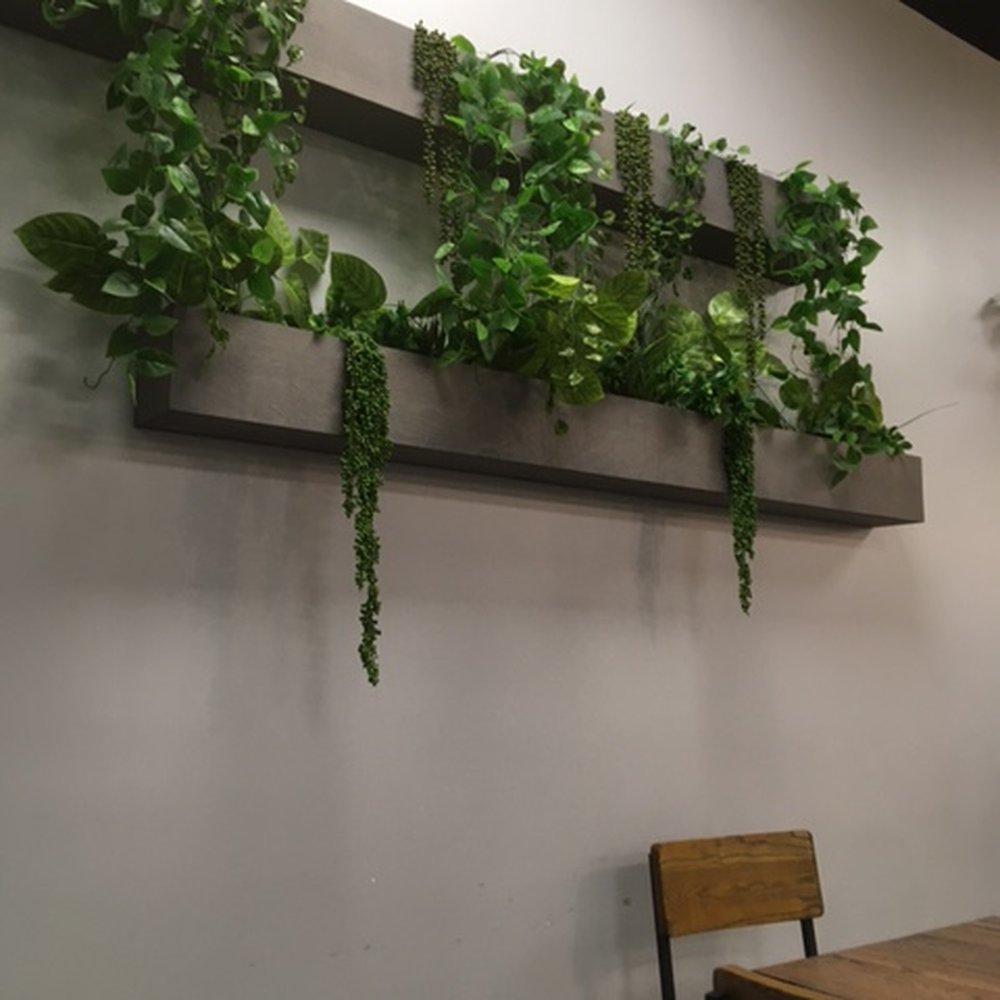 Taco shop 760 - Pretty greenary on the walls - Tacos Near Me - Coachella, California Taco shop 760 - Pretty greenary on the walls - Tacos Near Me - Coachella, California