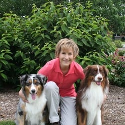 New Levels Dog Training
