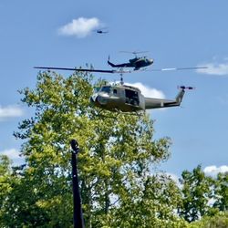 American Huey 369 - 3 birds in flight