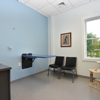 Compassionate Care Veterinary Services - Cat exam room with cat tree, toys and catnip - Veterinarians Near Me - Groton, Massachusetts Compassionate Care Veterinary Services - Cat exam room with cat tree, toys and catnip - Veterinarians Near Me - Groton, Massachusetts