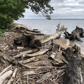 Chapman State Park - Hiking Near Me - Indian Head, Maryland
