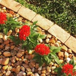 Mulch Depot - Mulch Depot Jacksonville www.MulchDepotJax.com Landscape Supply  Delivery & installation  Driveway installation, excavation, land clearing
