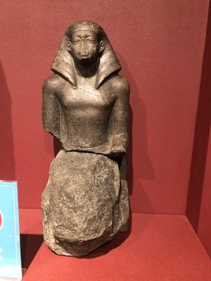 World Museum by null