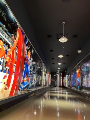 The College Basketball Experience by null