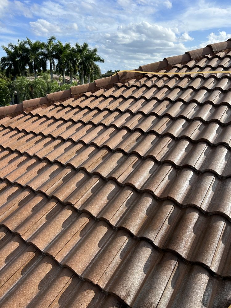 Slide of Gladiators Pressure Washing & Roof Cleaning