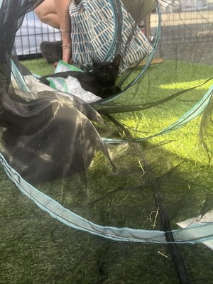 Ounces Taproom & Beer Garden by null