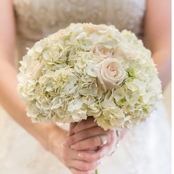 Lily Greenthumb's Wedding & Event Design - Flowers done by Lily Greenthumb's - Florists Near Me - Charlotte, North Carolina Lily Greenthumb's Wedding & Event Design - Flowers done by Lily Greenthumb's - Florists Near Me - Charlotte, North Carolina