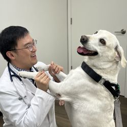 Inheart Animal Hospital - Meeting Dr. Lee for the first time and immediately hitting it off!