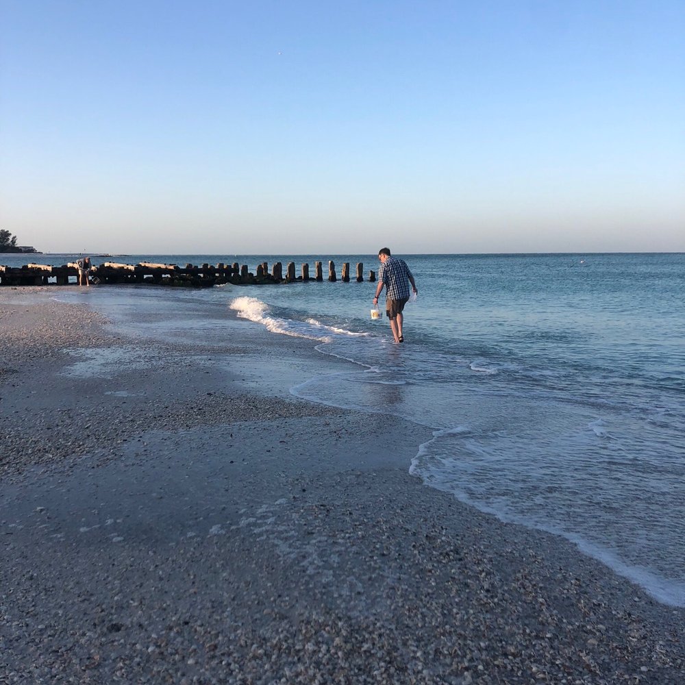 Coquina Beach - Hunting for seashells!! - Beaches Near Me - Bradenton Beach, Florida Coquina Beach - Hunting for seashells!! - Beaches Near Me - Bradenton Beach, Florida