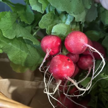 The Gay Head Store - radishes in a basket - Grocery Near Me - Aquinnah, Massachusetts The Gay Head Store - radishes in a basket - Grocery Near Me - Aquinnah, Massachusetts