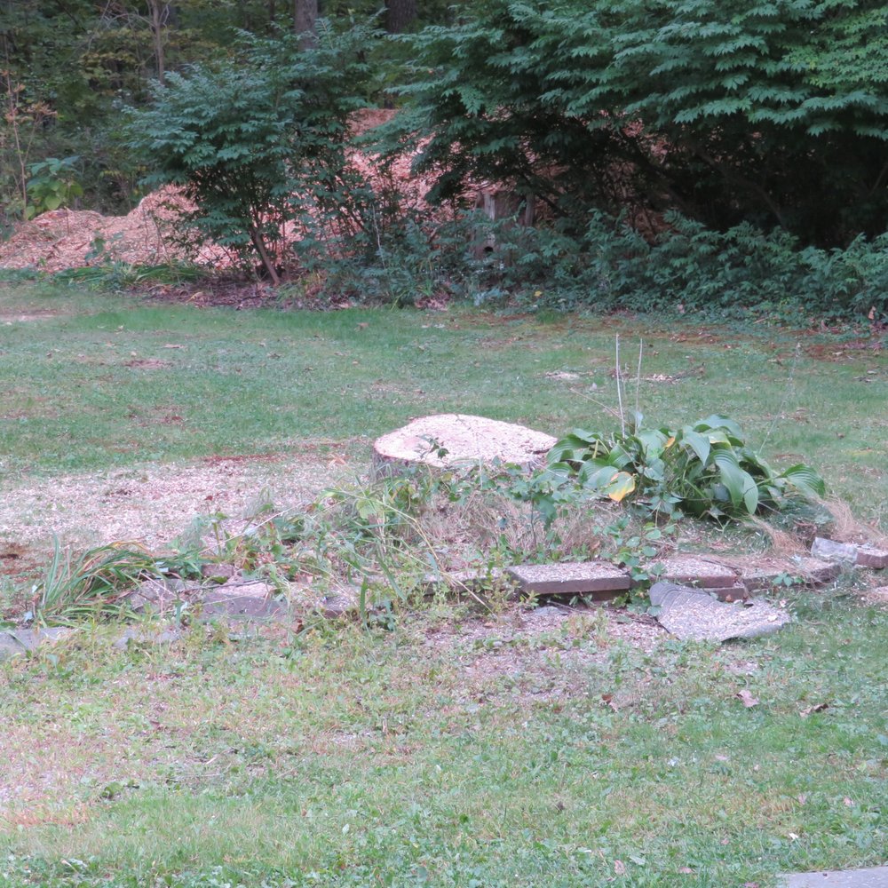 A & R Tree Services & More - clean up - Masonry/Concrete Near Me