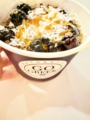 Go Greek Yogurt by null