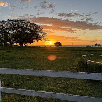 Kualoa Ranch - Tours Near Me - Kaneohe, Hawaii Kualoa Ranch - Tours Near Me - Kaneohe, Hawaii